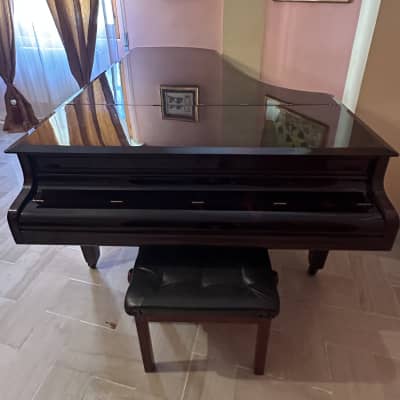 Chickering & Sons 58515 1881 - Marrone satinato image 2