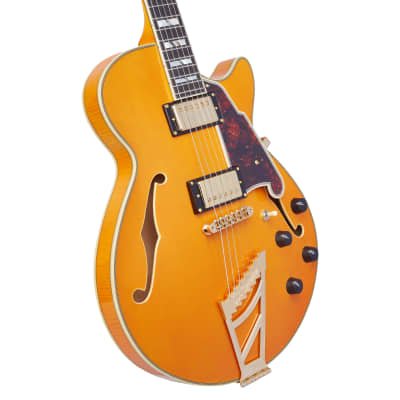 D'Angelico Excel Series SS Semi-Hollow Electric Guitar w/ USA Seymour Duncan Humbuckers & Shield Tre image 1
