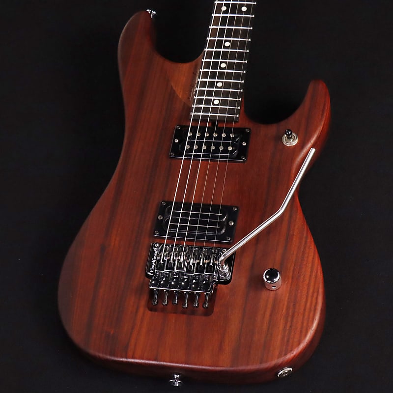 ギター Washburn  N4E  PNM  padauk  USA Washburn Guitars