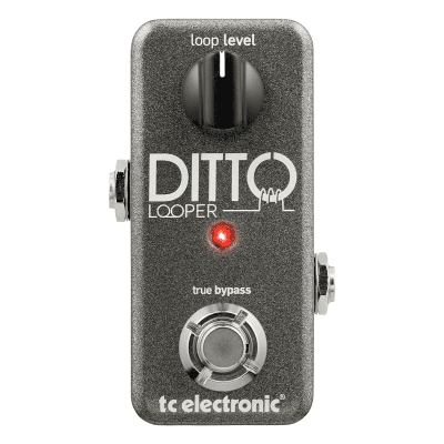 【used】tc electronic / DITTO LOOPER TC Electronic Ditto Looper | Reverb