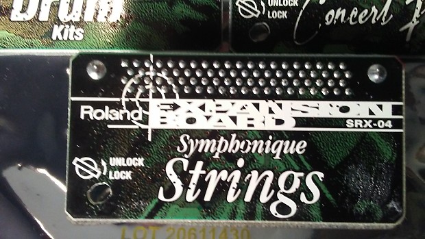 Roland SRX-04 Symphonic Strings sound expander for Roland XV-5080