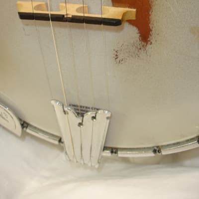 Gold Tone OB-250 Orange Blossom 5-String Banjo w/ Case image 8
