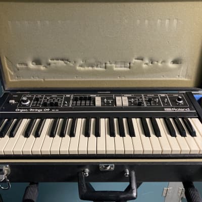 Roland  RS-09 with case 110V