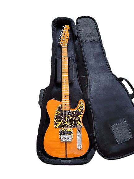Eastwood Artist Series Mad Cat Flame Maple Top Ash Body Maple Neck 6-String Electric Guitar w/Premium Soft Case image 1