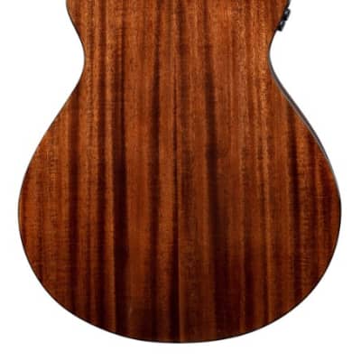 Breedlove Wildwood Pro Concerto CE Acoustic Electric Guitar, Suede Burst image 5