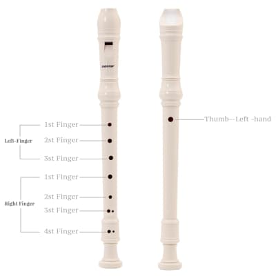 Soprano Recorder For Kids Beginners, 8 Hole Plastic German Fingering Flute Recorder 3 Piece With Cleaning Stick, Cotton Pouch, Fingering Chart, Colorful Box (Ivory) image 4