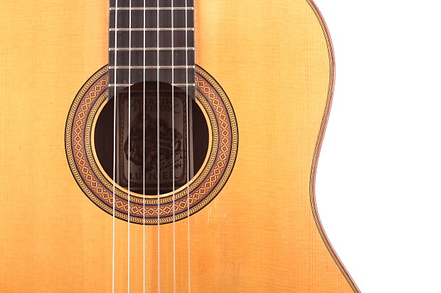 Martin fleeson guitar for sale top