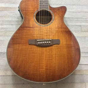 Ibanez aeg2011 top