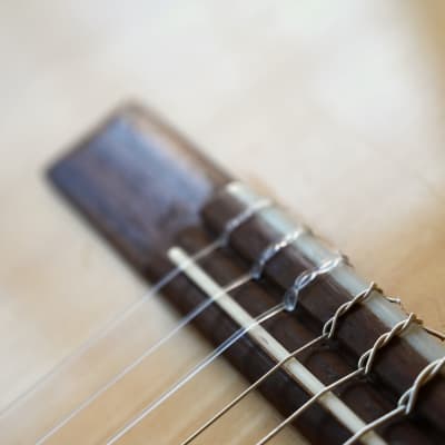 DiGiorgio Nylon Guitar 2012 (Fishman) image 4