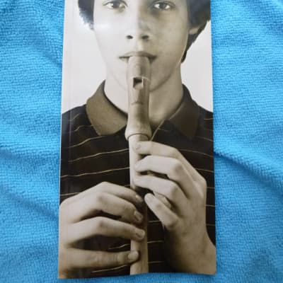 Schylling wooden recorder instrument image 10