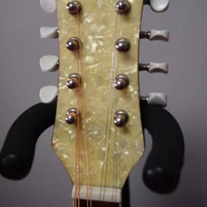 Johnson Resonator Mandolin Metal Body | Reverb