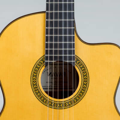 Pavan  TP-30 Acoustic Cutaway Spanish Classical Guitar- All Solid Woods, Handcrafted in Spain image 3