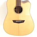 Washburn WD250SWCE Acoustic Electric Solid Wood Dreadnought Guitar - Blem #A472