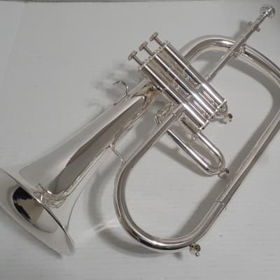 Getzen ETERNA 895S- 3 Valve FLUGELHORN , Mouthpiece & 2 Handle Combo Hard  case . 1972-1975 - Silver plated | Reverb