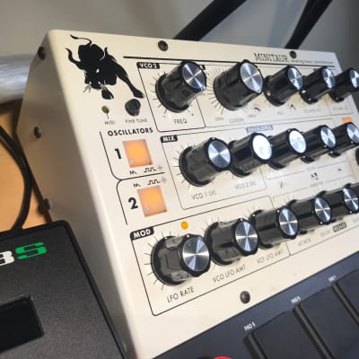 Moog Minitaur Analog Bass Synthesizer - Limited Edition WHITE - only 250 made image 1