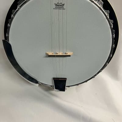 Danville 5-String Banjo image 2