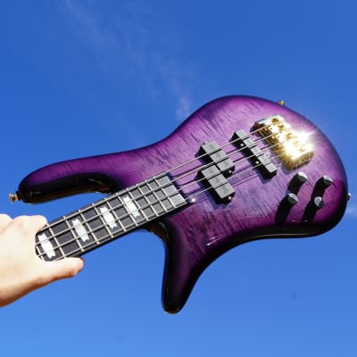 ベース Spector Euro 4LX PW Magenta Pink Gloss Spector Euro 4LX PW Magenta Pink Gloss Spector Euro 4 LX Black