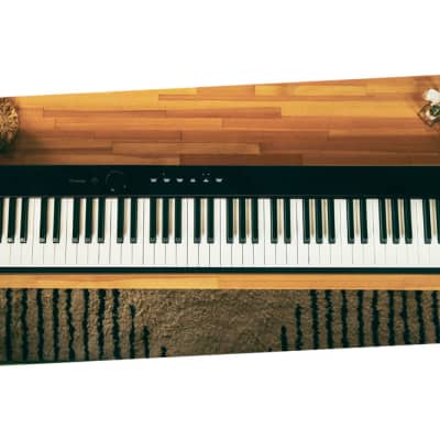 Casio PX-S1100 Digital piano Black (Springfield, NJ) image 2