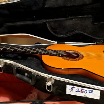 Prudencio Saez Model 6 Classical Guitar with Hard Case | Reverb