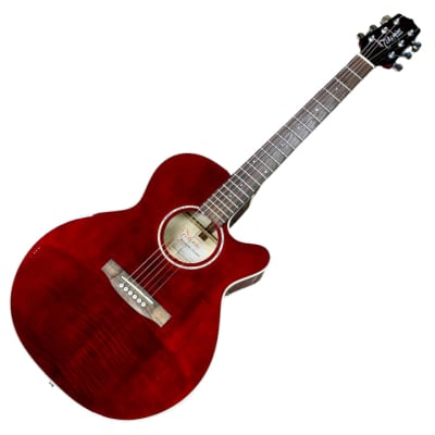 TAKAMINE(タカミネ） Acoustic guitar 一覧 | 三木楽器公式通販