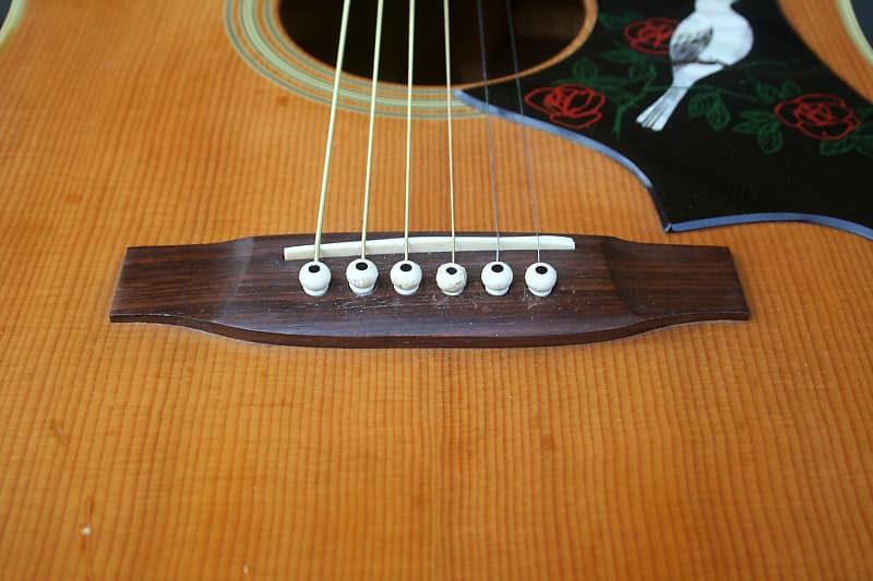 Takamine Elite TW 40 ハカランダ Takamine Elite TW-40 MIJ-1970's | Reverb