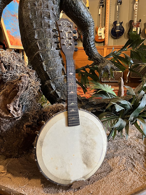 Orpheum No. 1 Mandolin Banjo Project with Original Hard Case image 1