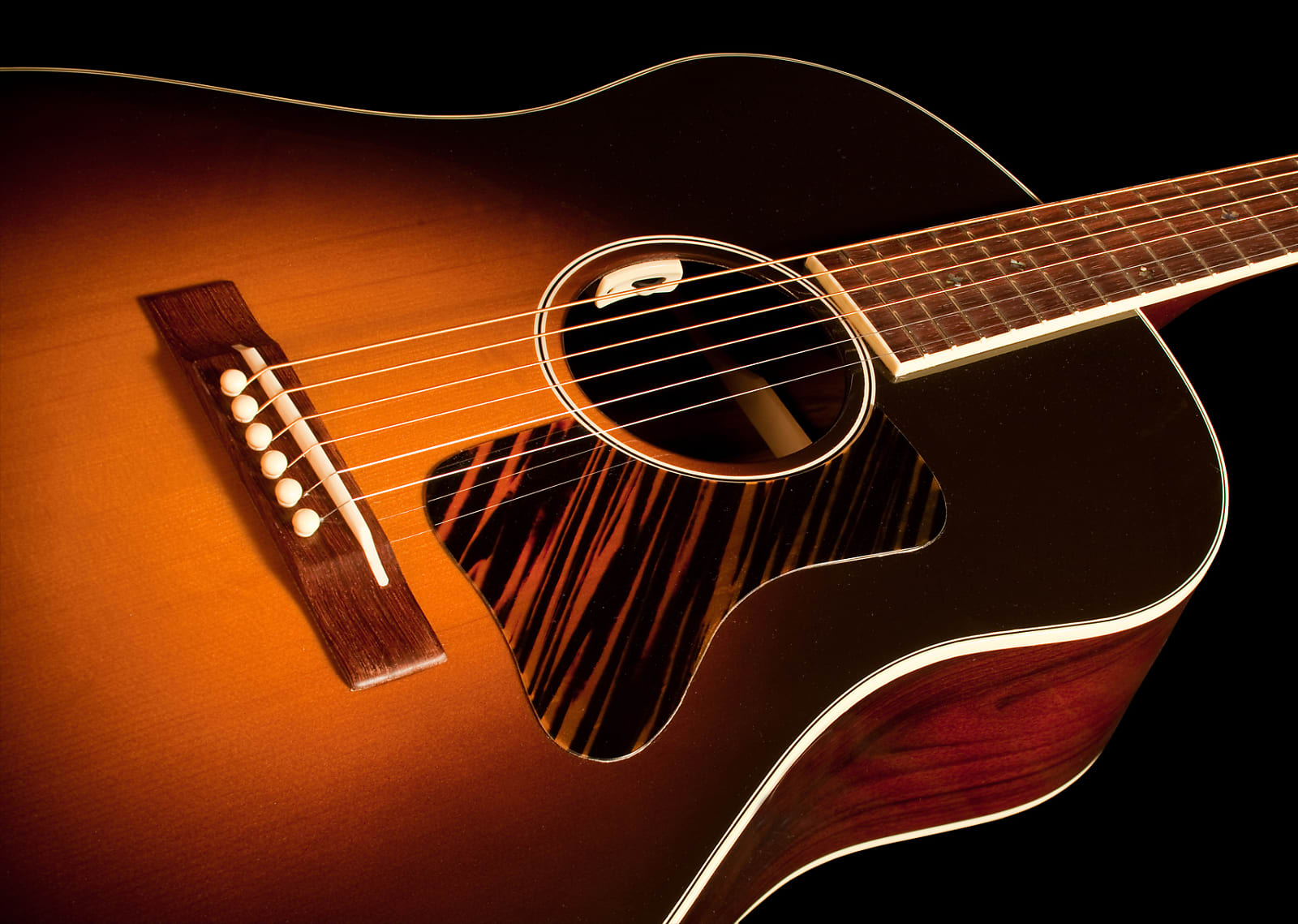 LR Baggs Anthem SL Tru-Mic Acoustic Guitar Pickup / Microphone System w/ Endpin
