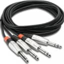 Pro Dual Cable 1/4" Trs   Same 10 Ft