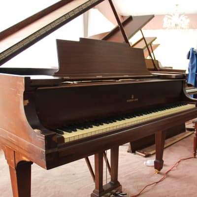Steinway & Sons 5'7" Model M Grand Piano Rosewood | SN: 231706 image 3