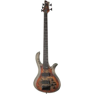 Schecter Riot-5 Bass 2020 - Inferno Burst for sale