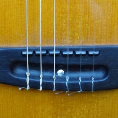 (SOLD) Parker Spanish Fly" - "Nylon" Guitar w/Custom Graphtech Electronics - ULTRA-RARE! image 5