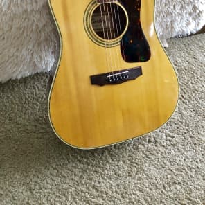 Cortez JG 6700 1970s Acoustic Guitar image 6