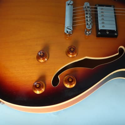 Johnson JS 500 (SN) Electric Semi Hollowbody F Holes Guitar image 18