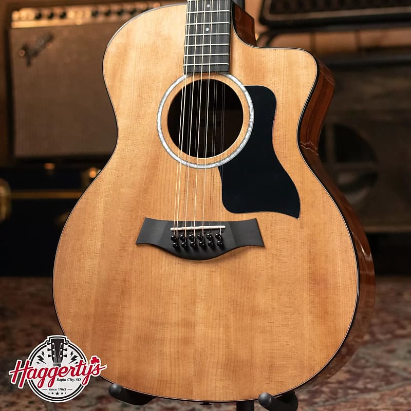 Taylor 254ce Plus Grand Auditorium 12-String Acoustic/Electric Guitar Natural with Aerocase image 1