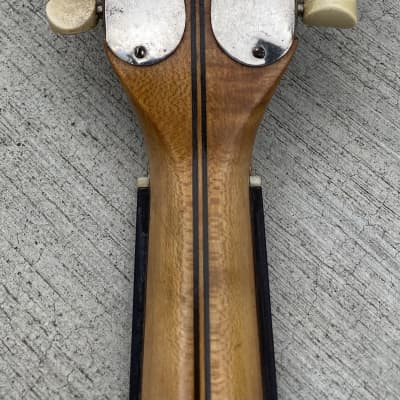 SS Stewart Mandolin Banjo 8 String Banjo with Case | Reverb