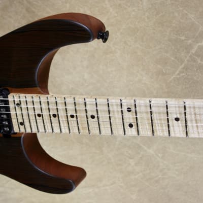 Jackson USA Custom Shop SL2H Soloist Mike Shannon Built Malaysian Blackwood Top Guitar image 6