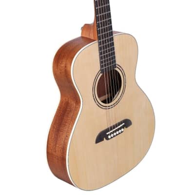 Alvarez RS26 Regent Series Short Scale Acoustic Guitar w/Tuner, Bag and More image 6