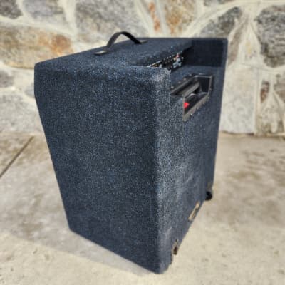 EBS Neo Drome 15" Bass Combo | Reverb