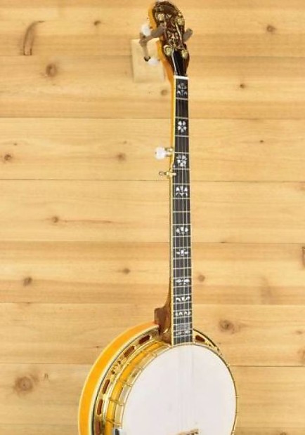 Ibanez artist banjo for deals sale
