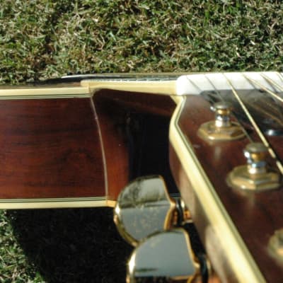 circa 1977 Yamaha L5 Guitar | Reverb