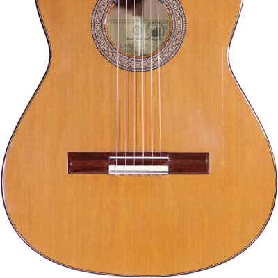 Jose Salinas 2020 - Flamenco Guitar image 2