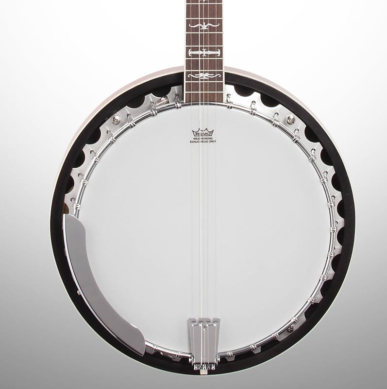 Washburn B10 Five String Banjo image 1