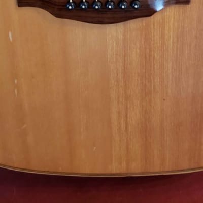 Palmer LW20 Acoustic Guitar image 4