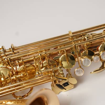 [In Stock]_Freeshipping! Yanagisawa Alto saxophone A WO-2 [AWO2]Bronze Brass Body image 8