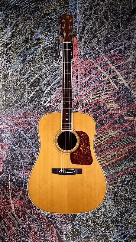 USED Gallagher G-70 COPY image 1