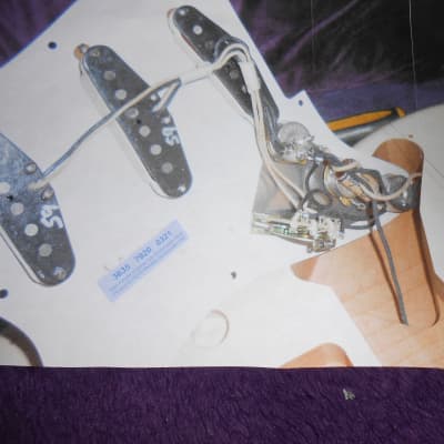 Fender 50's Stratocaster Build 2021 - American Original 59 Loaded Guard image 8