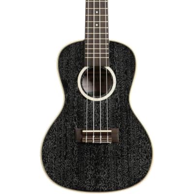 All Mahogany Zemaitis ZUK-200M Concert Ukulele with Gig Bag, | Reverb