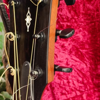 Taylor 324ce Grand Auditorium Mahogany/Blackwood Cutaway Acoustic/Electric with V-Class Bracing image 20