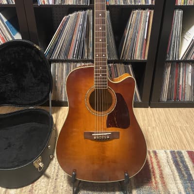 IBANEZ AW20 acoustic guitars