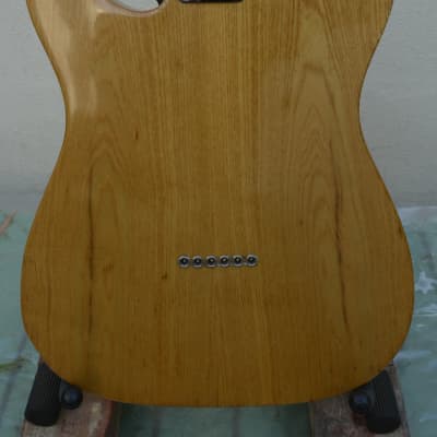 Fender Telecaster Thinline 1969 - Natural image 9